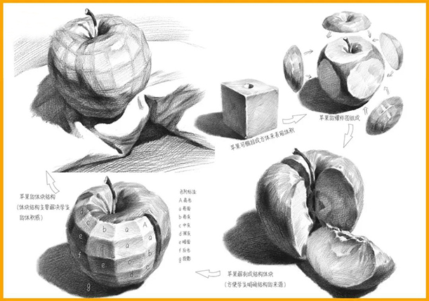 【素描水果教学】常见水果的作画步骤及结构剖析！