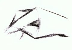 素描入门学习有哪些训练要点？该从哪开始？