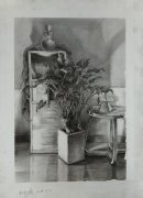 如何快速提高素描静物画面协调性？