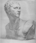 美术素描写生石膏像结构分哪几种？