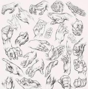 素描入门头与手的画法讲解，新手必看！